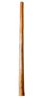 Natural Finish Flared Didgeridoo (TW1820)